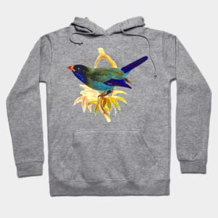 Cute birds #5 Hoodie